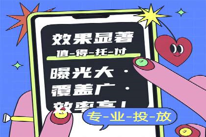 百度竞价运营案例分析：实战经验总结